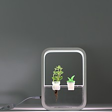 Indoor-Garten mit LED-Wachstumslicht