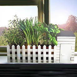 Mini-Indoor-Gemüsegarten für den Anbau von aromatischen Pflanzen