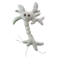 Mikrobe Kleines Neuron Plüschtier