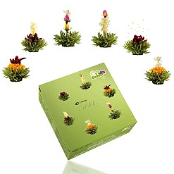 Kiste mit 6 Sorten Grünteeblumen