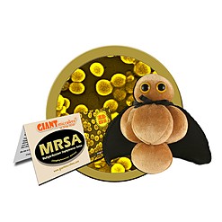 MRSA Mikrobe Plüschtier