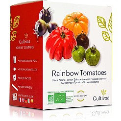 Bausatz für den Anbau farbiger Tomaten