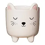Kitty
