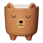 Bär