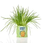 Entworfen von Bitten