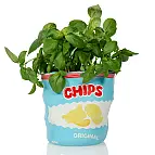 Kann als Topf verwendet werden