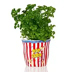 Jedes Modell hat eine Größe