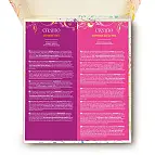 Präsentiert in einer schön illustrierten Schachtel