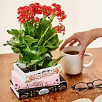 Originaldesign inspiriert von den Büchern von Jane Austen