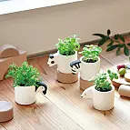 Monokuro Mini-Topf mit Anbausatz in Form eines kleinen Tieres