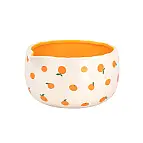 Chawan-Schale