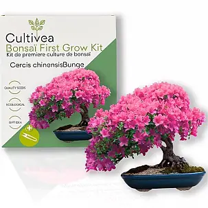 Bonsai Anbausatz für Anfänger