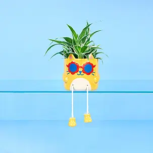 Cool Cat original Blumentopf