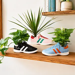 Walking Plant: origineller Pflanzentopf in Form eines Sneakers