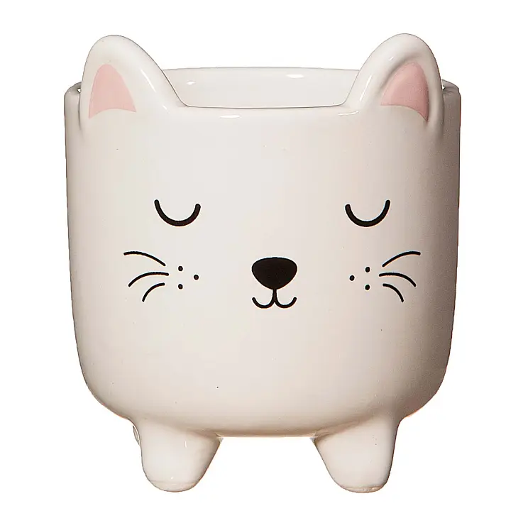 Kitty