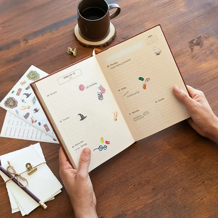 17-monatiges Schulprogramm, August 2025 bis Dezember 2026