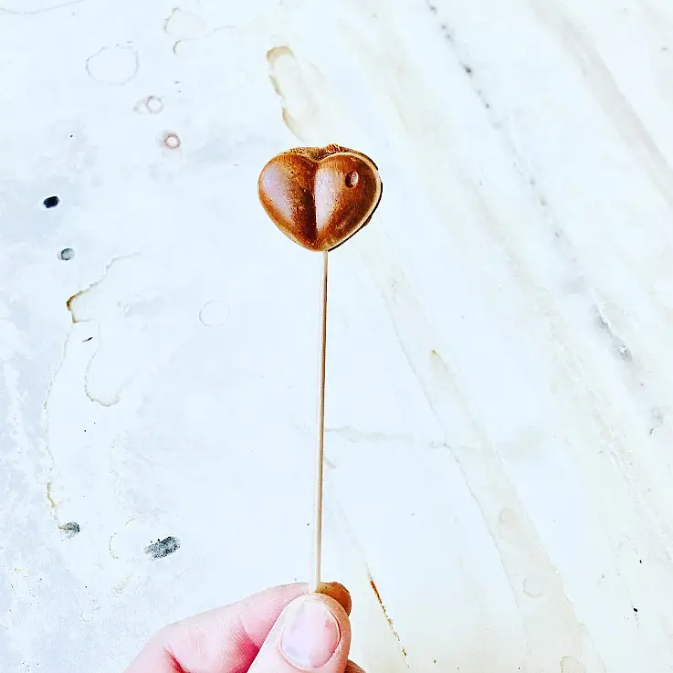 Einfach, praktisch und lecker