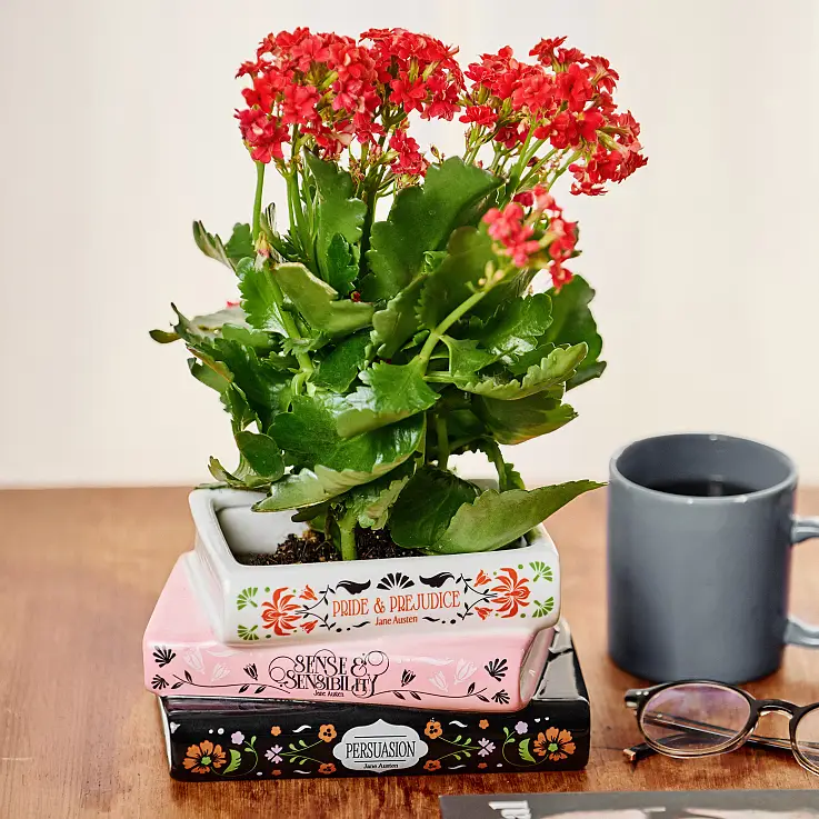 Gestapelter Büchertopf Botanical Trilogy