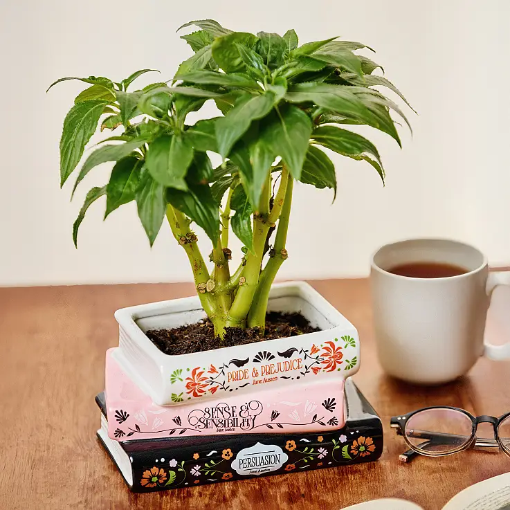 Hergestellt aus hochwertiger Keramik